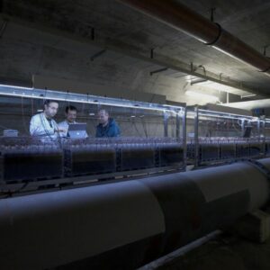 Pressefoto_Mikroben_5