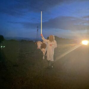 Verschwörungen – Die Wahrheit der Anderen BTS